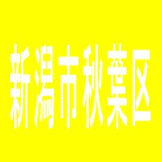 【新潟市秋葉区】ダイナム新津店のアルバイト口コミ一覧