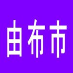 【由布市】Ｄｅａｒ　ＨＡＳＡＭＡのアルバイト口コミ一覧